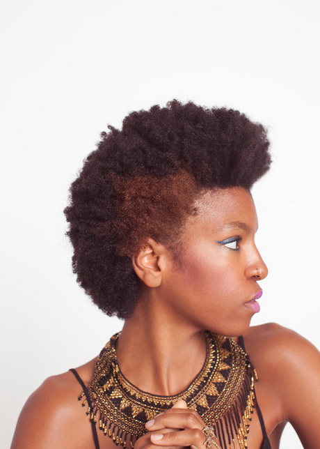 afro-hair-styles-17-6 Afro hair styles