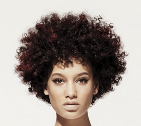 afro-hairstyles-25-9 Afro hairstyles