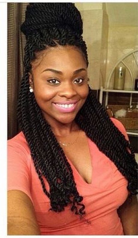 braids-and-twists-hairstyles-83-7 Braids and twists hairstyles