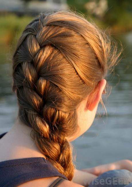 french braid a novel book review