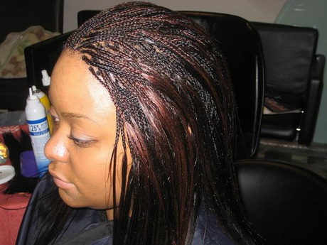 micro-braids-hairstyles-pictures-99-13 Micro braids hairstyles pictures