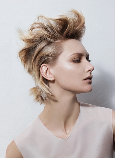Cocktail Party Hairstyles For Short Hair / 17 Best images about Prom