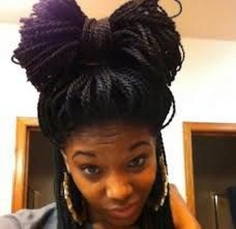more senegalese twists styles new braids braids in hair two braids ...