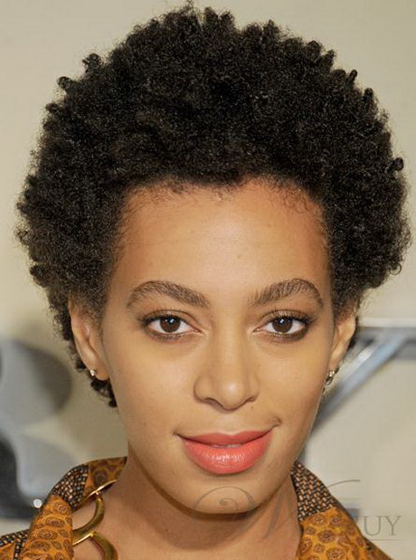 Classic Afro Hairstyle Short Kinky Curly Hand Made Full Lace Wig 100% ...