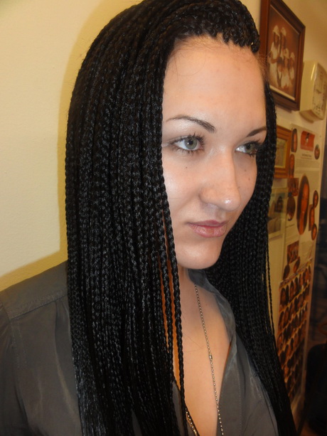 small-braids-hairstyles-06-6 Small braids hairstyles