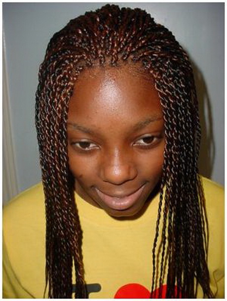 Twist Braid Hairstyles For Black Women pictures is part of the best ...