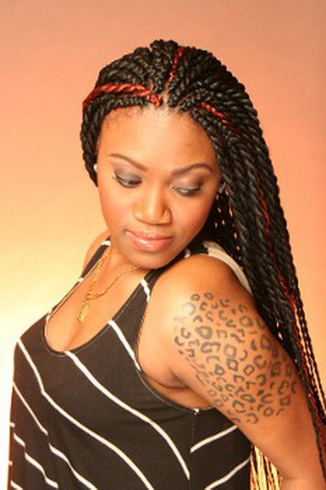 twist-braids-styles-09 Twist braids styles