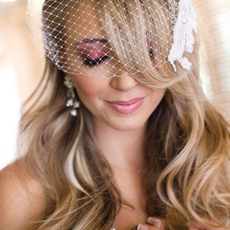 wedding-veils-with-hair-down-31-13 Wedding veils with hair down