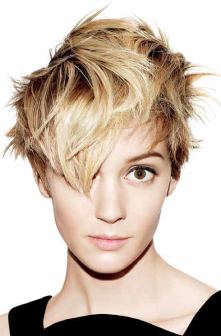 short-cut-hairstyles-for-2017-53 Short cut hairstyles for 2017