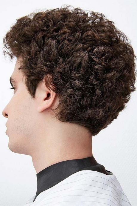 best-cuts-for-curly-hair-2023-67_9 Best cuts for curly hair 2023