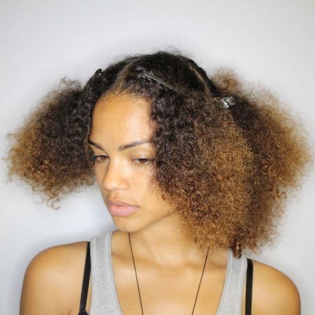 afro-hair-braids-60_14 Afro hair braids