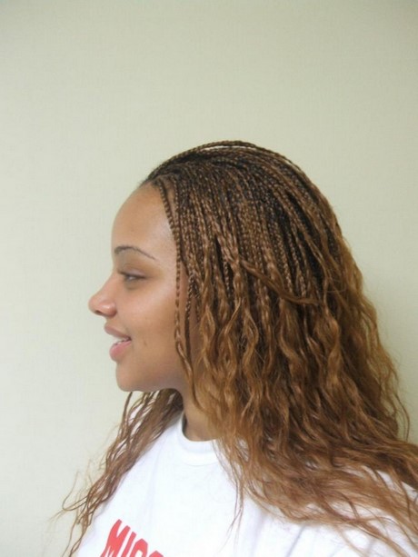 micro-hair-braiding-styles-93_7 Micro hair braiding styles