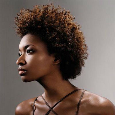 african-american-natural-hairstyles-56 African american natural hairstyles