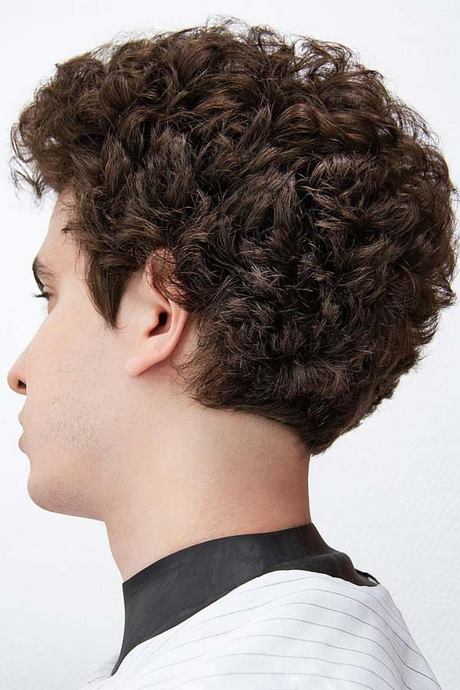 dry-curl-short-hairstyle-33_4 Dry curl short hairstyle
