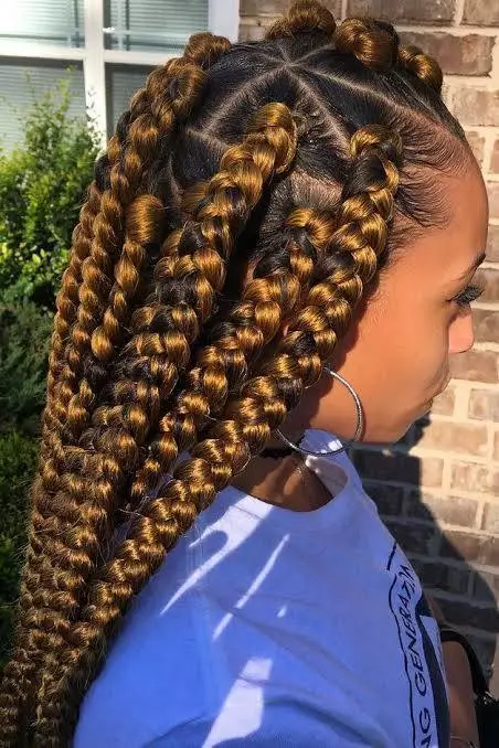 african-braided-hairstyles-2024-56-1 African braided hairstyles 2024