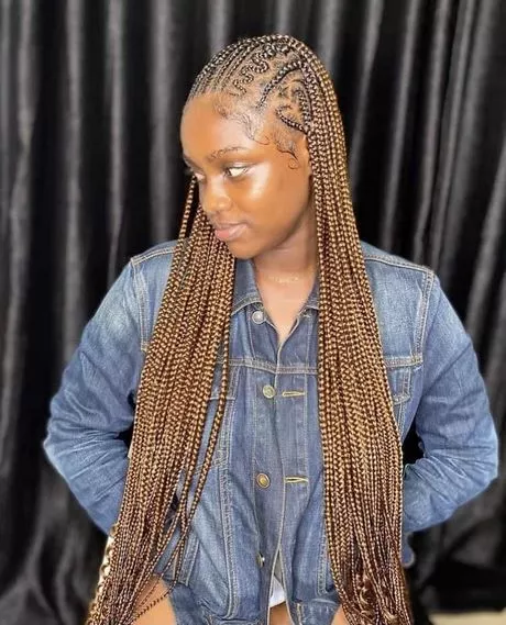 african-braided-hairstyles-2024-56_12-5 African braided hairstyles 2024
