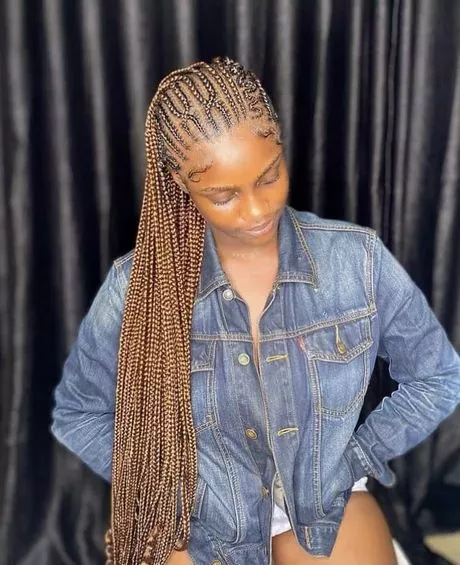 african-braided-hairstyles-2024-56_14-7 African braided hairstyles 2024