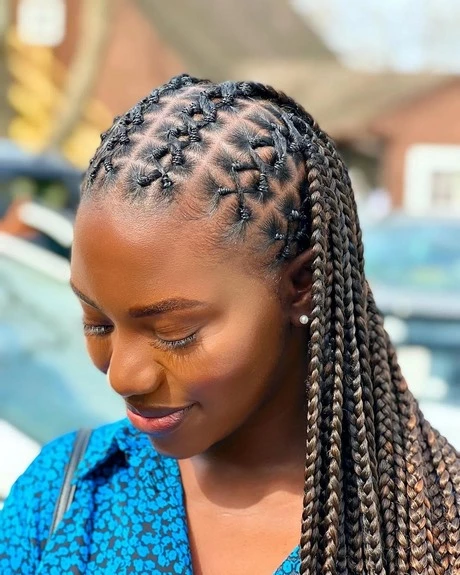 african-braided-hairstyles-2024-56_5-15 African braided hairstyles 2024