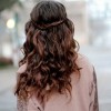 Hairstyles with braids and curls