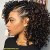Afro american hairstyles