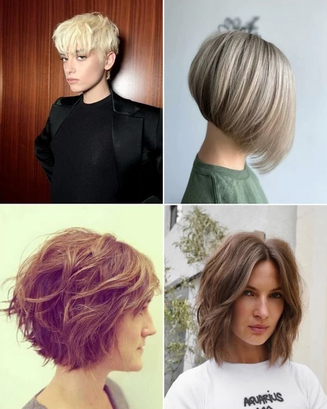 Hairstyle for 2024 short hair