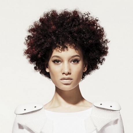afro-curly-hairstyles-59-18 Afro curly hairstyles