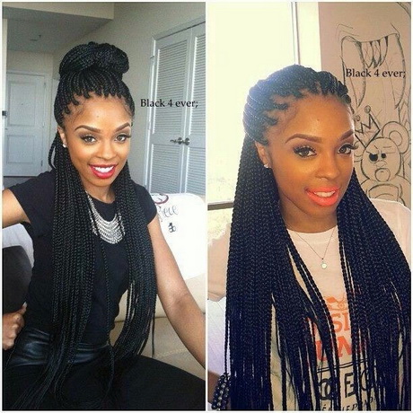 box-braids-hairstyles-pictures-23_10 Box braids hairstyles pictures