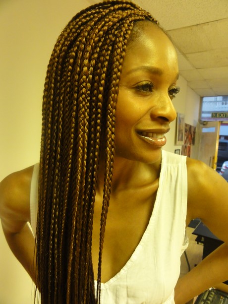 plaits-and-braids-hairstyles-92_4 Plaits and braids hairstyles