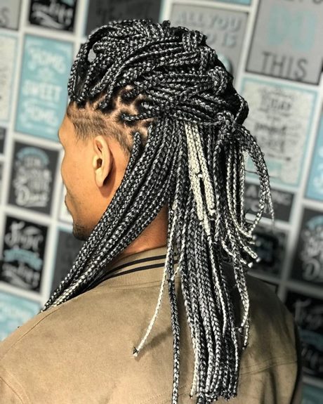 large-braids-hairstyles-58_15 Large braids hairstyles