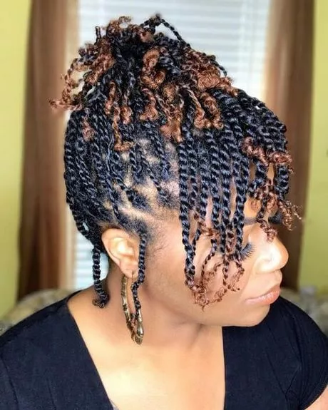 latest-natural-hair-styles-2023-96_17-10 Latest natural hair styles 2023