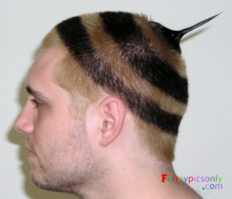 funny-hairstyles-39 Funny hairstyles