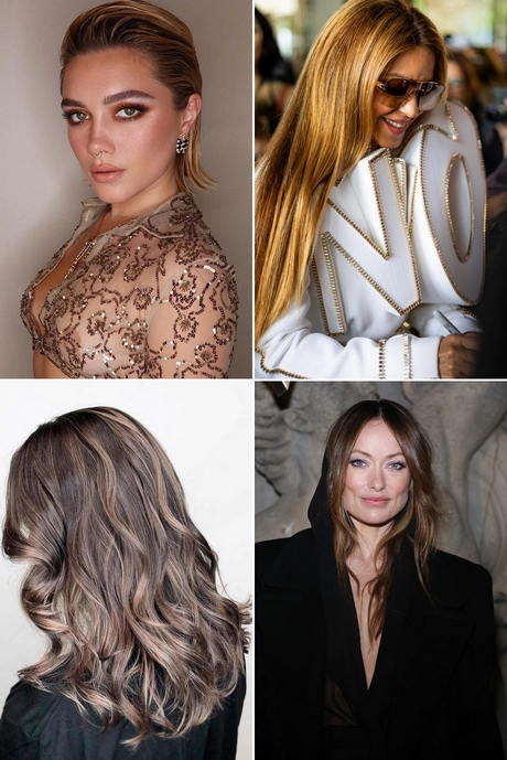 celebrity-hair-fall-2024-001 Celebrity hair fall 2024
