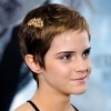 Famous pixie haircuts