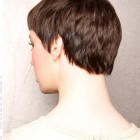 The back of a pixie haircut