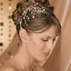 Wedding hair jewellery